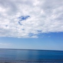 M.blog