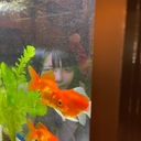 NICCO! ねお
