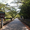 4月某日静かな温泉旅 新潟県・咲花温泉へ('15)