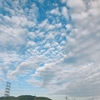 幸せな朝