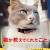 猫が教えてくれたこと（Kedi）