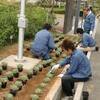 嵐の中の植え替え！！