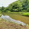 中浦ヒメサユリ森林公園の池（新潟県三条）