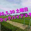 2026,5,30 土曜日 トラックバイアス予想 (東京競馬場　京都競馬場)