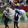 6月の振り返り　競馬とご飯が楽しい月だった