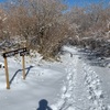 また来た六甲山 牙を剥く雪山