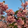 3月28日　さあ、ここから
