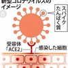 感染のメカニズムも知らず騒いでる人たちへ