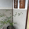 友人とのお茶