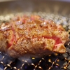 【ニクリーチ】就活がつまらない?ただ飯を食べれるアプリ