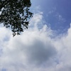 【音楽家だよ】夢咲すずが作った曲+おまけを紹介！聴いてね