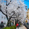  実走！名古屋RUNコース vol.56「今池・水道みち緑道」。