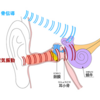 「なぜ録音した声は自分の声と違うのか？」