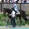 ２７日の検疫で美浦トレセンへ帰厩しています。
