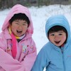 ある意味、大雪被害