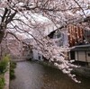 その他と云う謎めいた分類種別 at 京都国立近代美術館