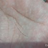 【目に激痛】なんでこんなのが目に入っちゃったのよ！