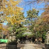 石神井氷川神社（東京都練馬区）