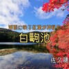 佐久穂町『白駒池』‐　日本最高所にある神秘的な湖に広がる紅葉スポット