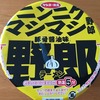 サンヨー食品ニンニクマシマシ野郎