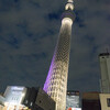 スカイツリーに上った
