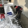 雪かき三昧の一日でした。
