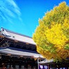 京都ぶらり　東本願寺　銀杏