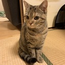 イチから株式投資