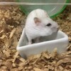 つぶあん294日目