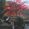 12月5日の風景