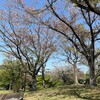 4月14日