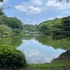 薬師池公園