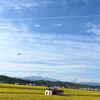 今日から秋の山形へ