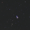 Arp199(NGC5544,5545) <Bootes>