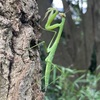 唐突に夏の思い出の話をする