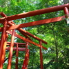 鎌倉日帰り旅行: 歴史と自然が織りなす魅力
