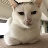 入院中のなな