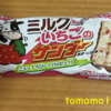 午前中のおやつ！有楽製菓『ミルクないちごのサンダー』を食べてみた！