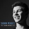 注目の若手アーティストが奏でる失恋ソングーStitches（和訳）ーShawn Mendes(ショーン・メンデス)ー