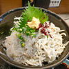 生しらすと釜あげしらすの合盛り丼