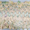 多肉植物の葉挿したちのその後＜2020年春～夏＞綴化と石化