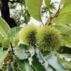木曽の不思議