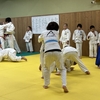 🥋柔術と柔道🥋