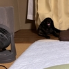 サンの日傘〜ι(´Д｀υ)ｱﾂｨｰ