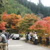 鹿沼市の紅葉スポット大芦渓谷の白井平橋に紅葉写真を撮りに行ってきました。