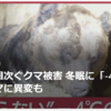 【まさにクマイシス？！……12／19－20　年の瀬も相次ぐクマ被害　冬眠に「-4℃の壁」】＃605