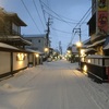 九兵衛旅館から1年ぶりの酒田「寒鱈まつり」へ