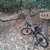 寒中林道サイクリング