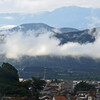 雨上がりの朝