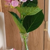 一区切りです。。。